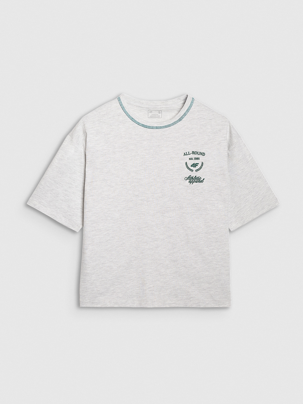Women's oversize T-shirt with print - grey | 4F: Sportswear