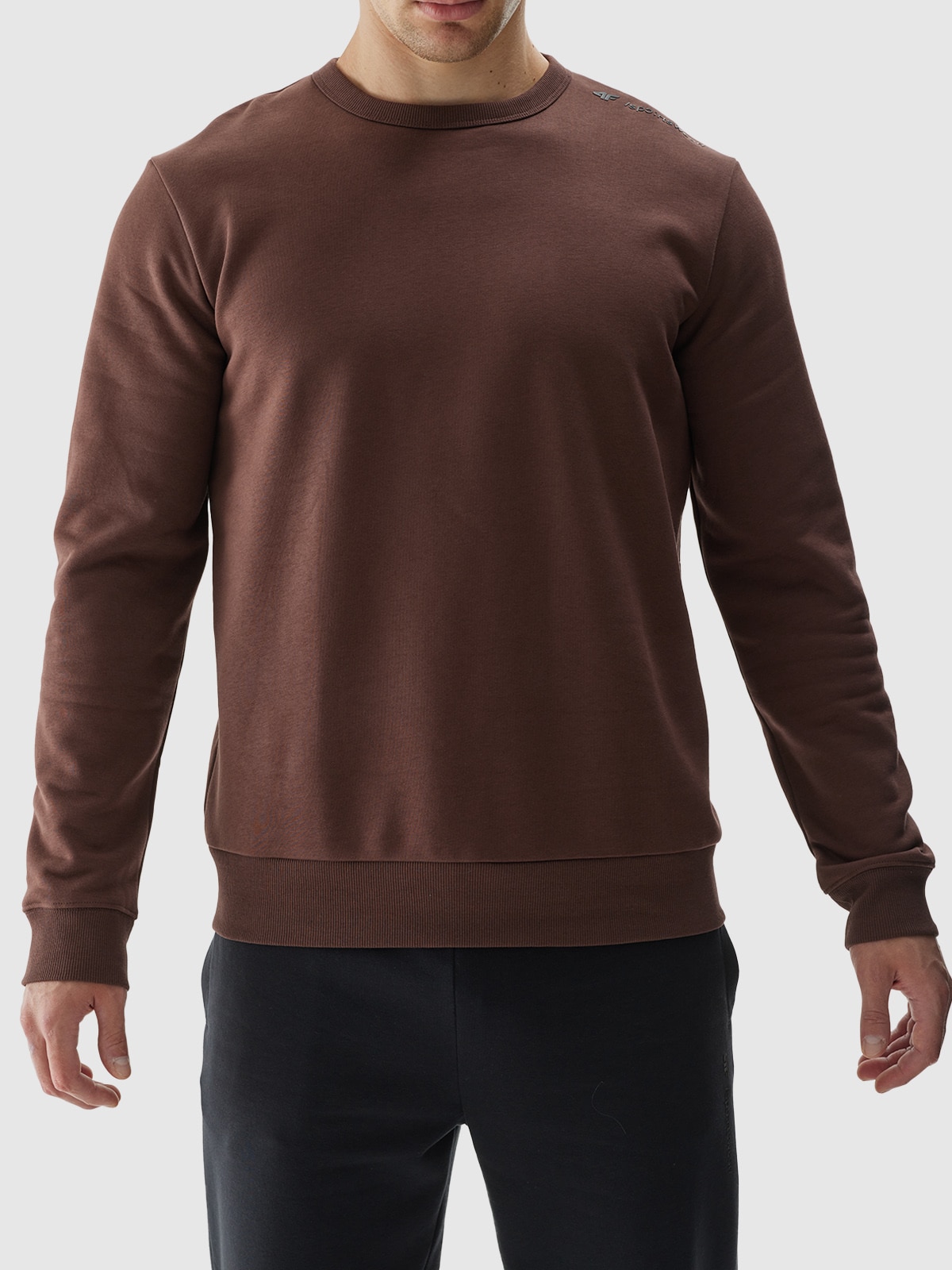 Men's pullover sweatshirt without hood - brown | 4F
