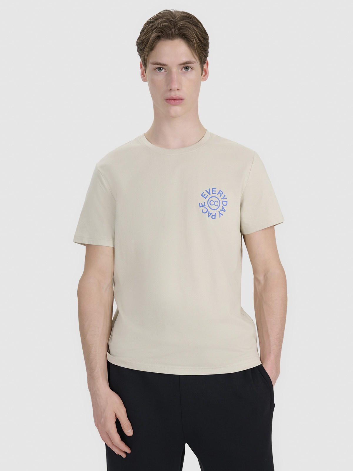 Men's regular T-shirt with print - beige | 4F: Sportswear
