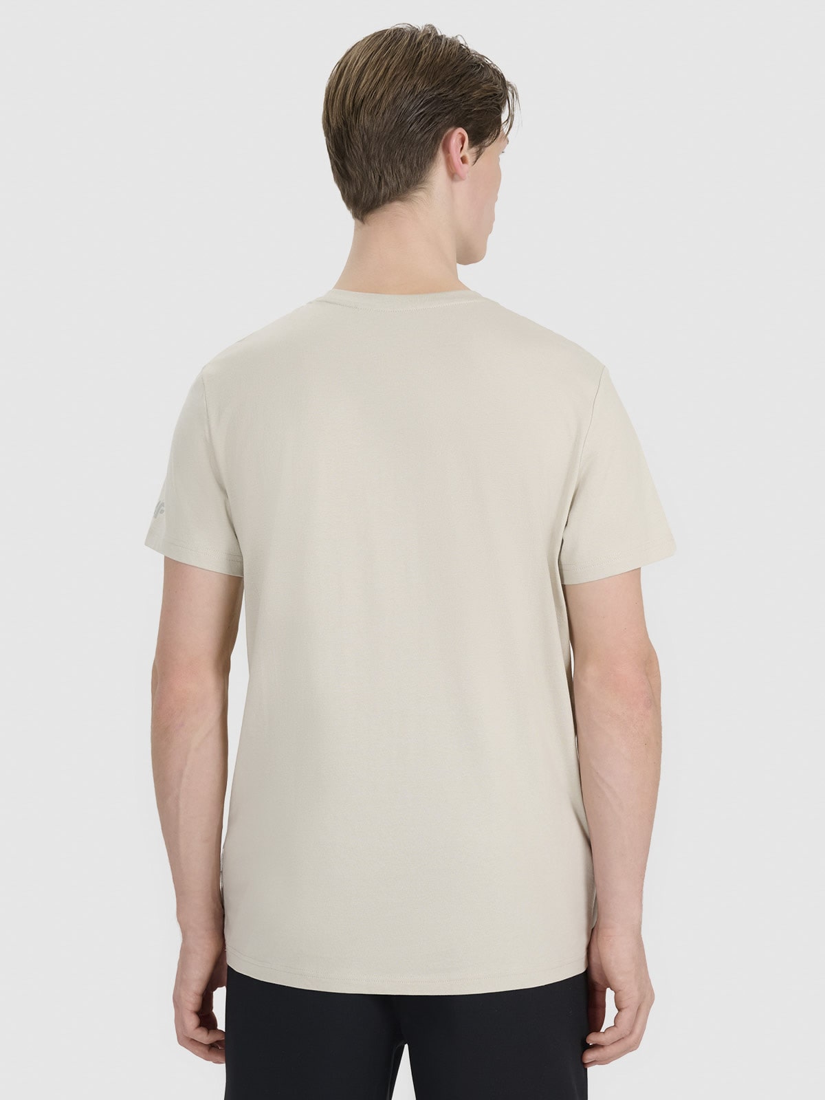 Men's regular T-shirt with print - beige | 4F: Sportswear